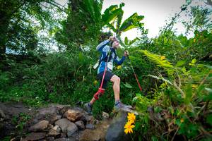 BIB: 1066
                            <button type="button" onclick="openModal(15974716)" class="btn btn-primary btn-sm float-right btn-popup" data-toggle="modal" data-target=".modal-high-quality">
                        <i class="fas fa-shopping-cart"></i> Add to Cart
                    </button>
                                            <button type="button" onclick="isThisMe(15974716, true)" class="btn btn-success btn-sm float-right btn-popup btn-isme hidden" data-toggle="tooltip" data-placement="bottom" title="นี่คือรูปของคุณใช่ไหม คลิกที่นี่เพื่อเอาเข้าอัลบั้ม">
                        <i class="fas fa-plus"></i> Add to album
                    </button>
                    <button type="button" onclick="isThisMe(15974716, false)" class="btn btn-warning btn-sm float-right btn-popup btn-isnotme hidden">
                        <i class="fas fa-ban"></i> Remove from album
                    </button>